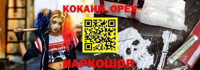 apvp Камышлов