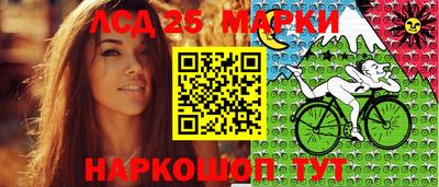 apvp Камышлов