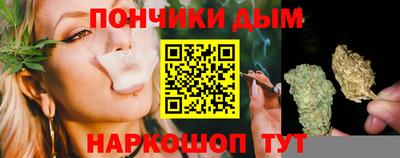 apvp Камышлов