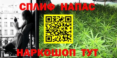apvp Камышлов