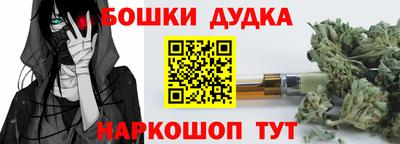 apvp Камышлов