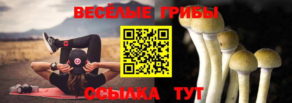 Галлюциногенные грибы мухоморы Нижнеудинск